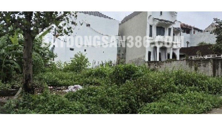 BÁN LÔ ĐẤT 85,6 m2 ĐÔNG YÊN - QUỐC OAI - SỔ ĐỎ MỚI CẤP 2024 - NỞ HẬU