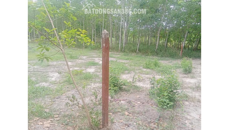 GIẢM GIÁ BÁN GẤP ĐẤT PHÚ MỸ HƯNG, CỦ CHI, TỪ 2.5 TỶ CHỈ CÒN 2.1 TỶ. LH:0918091655.