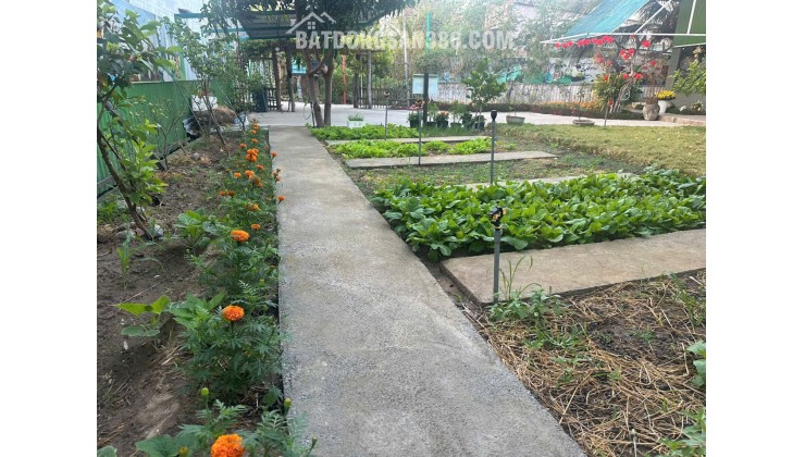 BÁN TRƯỜNG MẦN NON THÔN GÒ SẠN, XÃ BẮC PHONG, HUYỆN THUẬN BẮC. LH:0906000199.