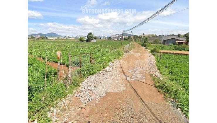 Bán Đất 369m²  5 tỷ Gần TT Hành Chính Đức Trọng, Lâm Đồng - Sổ Riêng