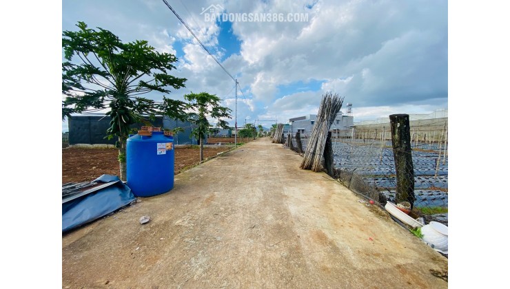 Bán đất 112,5m² Liên Nghĩa, Đức Trọng, Lâm Đồng – Gần trung tâm hành chính, giá 1,2 tỷ