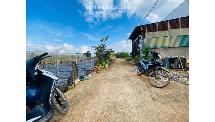 Bán đất 112,5m² Liên Nghĩa, Đức Trọng, Lâm Đồng – Gần trung tâm hành chính, giá 1,2 tỷ
