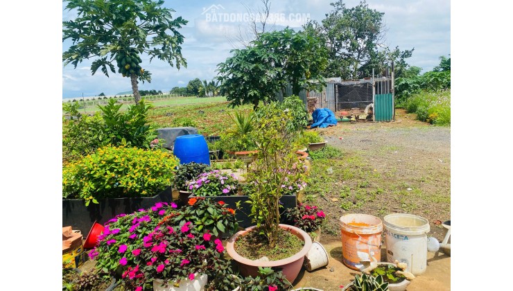 Bán 369m2 đất Trần Phú  thị trấn Liên Nghĩa Đức Trọng  Lâm Đồng  giá 4.7 tỷ