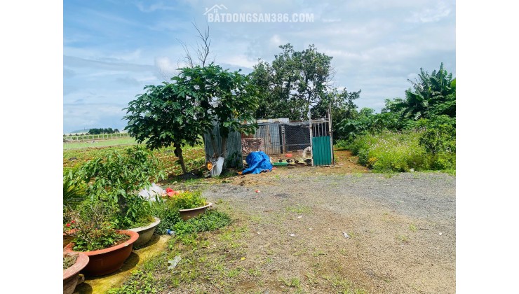 Bán 369m2 đất Trần Phú  thị trấn Liên Nghĩa Đức Trọng  Lâm Đồng  giá 4.7 tỷ