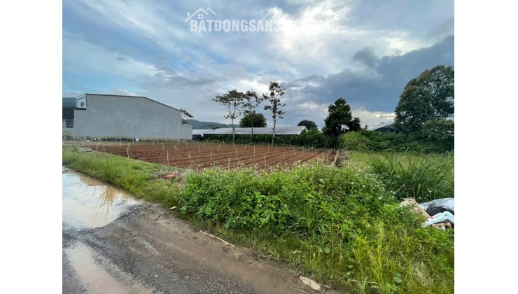 Bán Đất Liên Nghĩa, Đức Trọng Giá Rẻ – 123m² Gần Sông Đa Nhim, Cách Sân Bay 4km