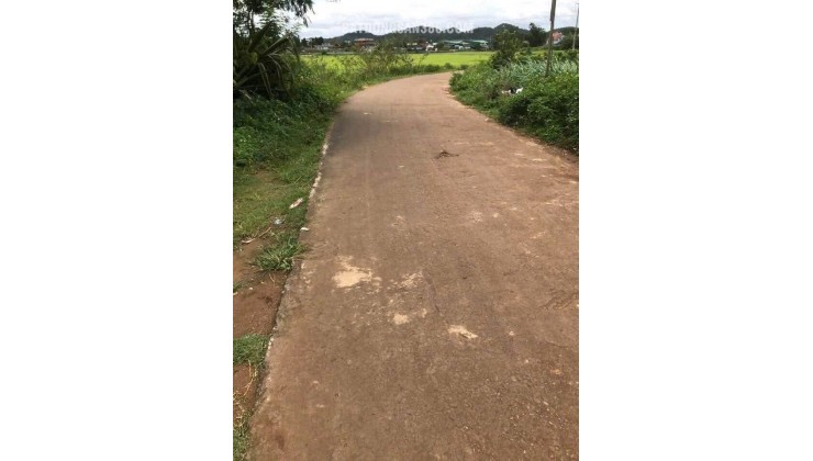 Bán nhanh lô đất Phú Hội, Đức Trọng giá rẻ chỉ 800 triệu đồng.