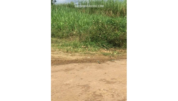 Bán nhanh lô đất Phú Hội, Đức Trọng giá rẻ chỉ 800 triệu đồng.