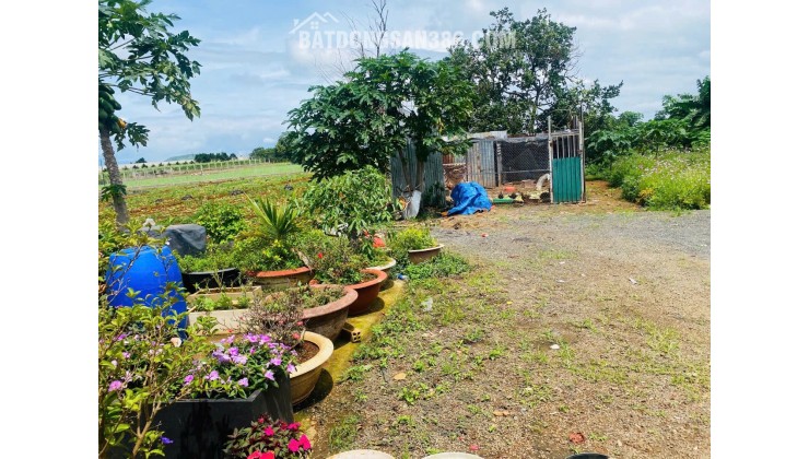 RẺ nhất thị trường có 1 ko 2-Giảm cực sâu 900 TRIỆU - BÁN GẤP LÔ ĐẤT 369M² NGAY TT HÀNH CHÍNH ĐỨC TRỌNG