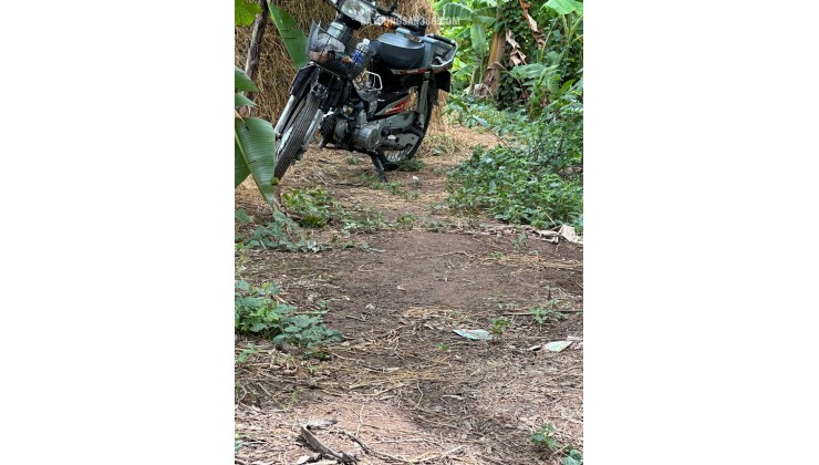 BÁN ĐẤT 3 CÔNG ĐẤT XÃ MỸ HOÀ HƯNG, TP LONG XUYÊN SHR CHỈ 750 TRIỆU. LH:0977226448