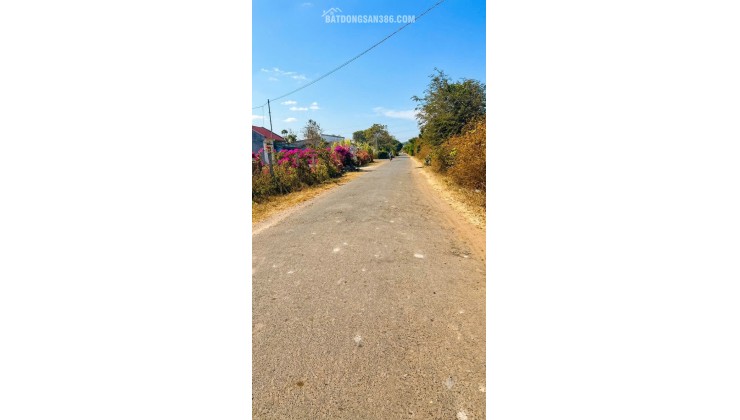 CƠ HỘI ĐẦU TƯ FO 6.560M² - PHỦ HỒNG, SẴN 199M² THỔ CƯ, CHỈ 5.5 TỶ. LH:0368286139