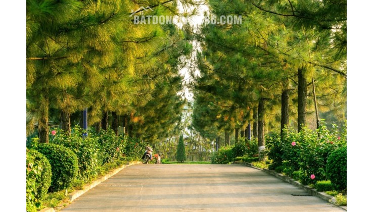 Sở hữu biệt thự 400m2 The Phoenix Garden Đan Phượng - Đà Lạt thu nhỏ giữa lòng khu Tây Hà Nội