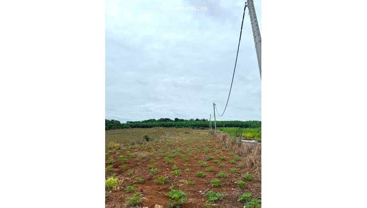 CHỈ 680 TRIỆU – SỞ HỮU NGAY ĐẤT THỔ CƯ SỔ RIÊNG 135,2m² TẠI HƯNG THỊNH , TP ĐỒNG NAI