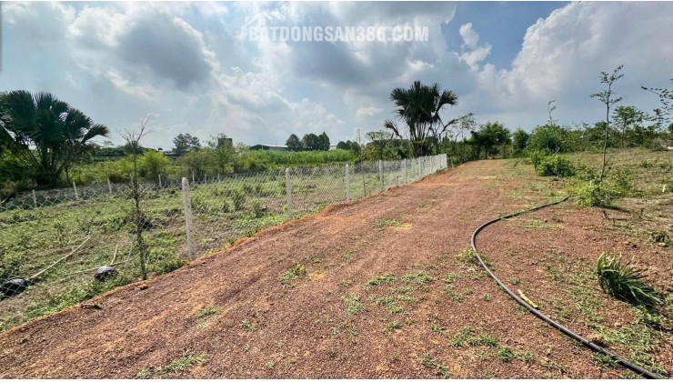 CHỈ 430TRIỆU – SỞ HỮU NGAY LÔ ĐẤT NHÀ VƯỜN 500m² TẠI VĨNH AN, TP. ĐỒNG NAI