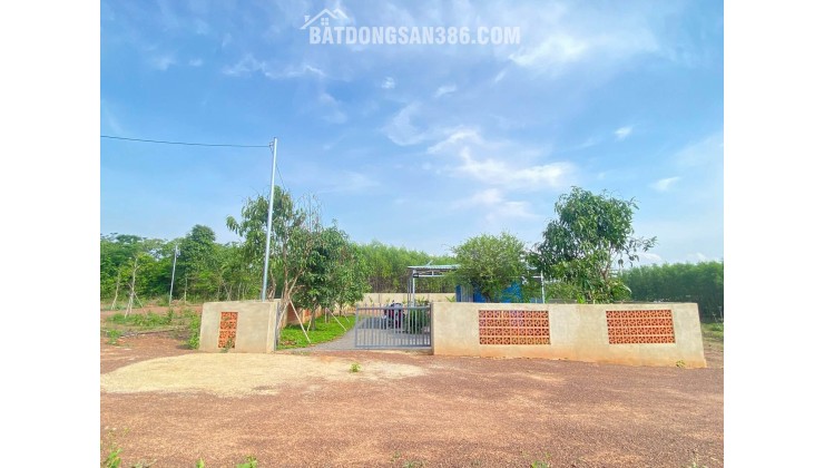 CHỈ 430TRIỆU – SỞ HỮU NGAY LÔ ĐẤT NHÀ VƯỜN 500m² TẠI VĨNH AN, TP. ĐỒNG NAI