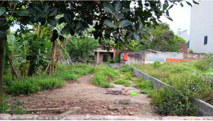 Bán đất 85.6m2 Đội 1, Đông Hạ, xã Đông Yên - Quốc Oai.