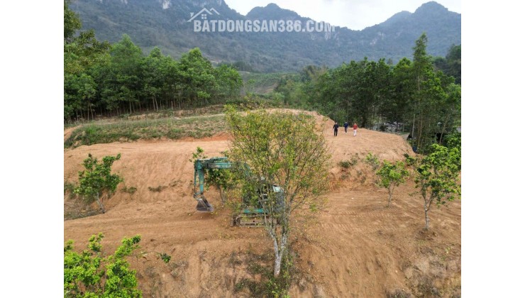 SỞ HỮU LÔ ĐẤT NGHỈ DƯỠNG BÁM SUỐI TUYỆT ĐẸP TẠI  KIM BÔI HÒA BÌNH