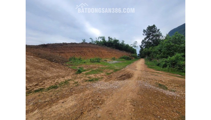 bán đất nghỉ dưỡng 1,6HA. 600k/m2. bám đường bê tông 50m, gần nghỉ dưỡng serena