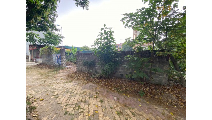 Ngân hàng phát mại 509m2 đất mặt đường Trương Hán Siêu, TP Hòa Binh (nay là tỉnh Phú Thọ))