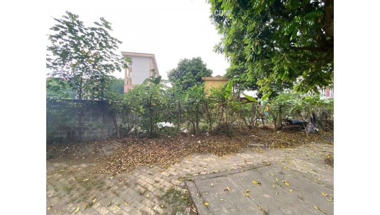 Ngân hàng phát mại 509m2 đất mặt đường Trương Hán Siêu, TP Hòa Binh (nay là tỉnh Phú Thọ))