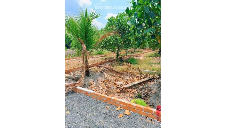 CHỦ ÔM HẾT NỔI – CẦN BÁN GẤP VƯỜN MÍT 175M² CÓ SẴN THỔ CƯ NGAY TRUNG TÂM CHƠN THÀNH – GIÁ CHỈ 6XXTR