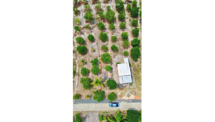 CHỦ ÔM HẾT NỔI – CẦN BÁN GẤP VƯỜN MÍT 175M² CÓ SẴN THỔ CƯ NGAY TRUNG TÂM CHƠN THÀNH – GIÁ CHỈ 6XXTR