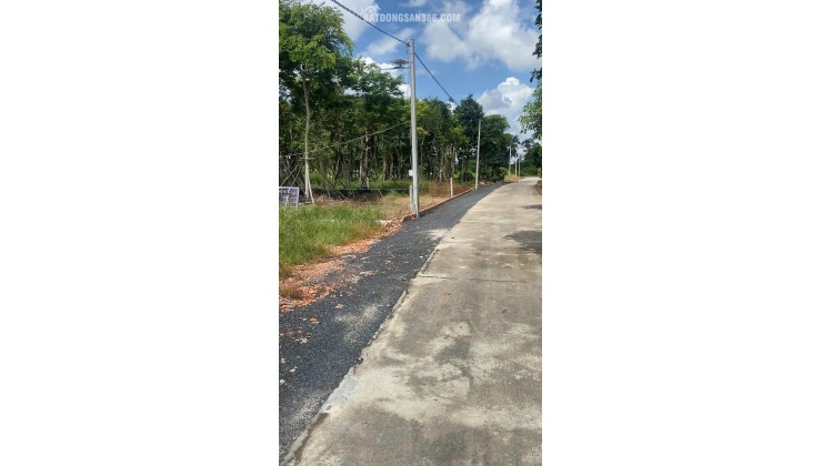 CHỦ ÔM HẾT NỔI – CẦN BÁN GẤP VƯỜN MÍT 175M² CÓ SẴN THỔ CƯ NGAY TRUNG TÂM CHƠN THÀNH – GIÁ CHỈ 6XXTR