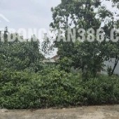 BÁN LÔ ĐẤT 85,6 m2 ĐÔNG YÊN - QUỐC OAI - SỔ ĐỎ MỚI CẤP 2024 - NỞ HẬU