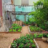 BÁN GẤP 62M² ĐẤT PHÙ KHÊ (BẮC NINH) HƠN 2 TỶ - NGÕ NÔNG, Ô TÔ 7 CHỖ CHUI TỌT VÀO ĐẤT!