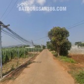 Bán đất Liên Nghĩa Lâm Đồng giá 2ty9-  DT242m2