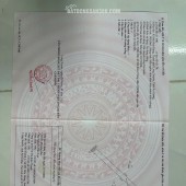 BÁN ĐẤT 3 CÔNG ĐẤT XÃ MỸ HOÀ HƯNG, TP LONG XUYÊN SHR CHỈ 750 TRIỆU. LH:0977226448