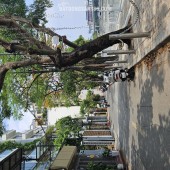 NHỈNH 20 TỈ - NHÀ HOÀNG CẦU SẴN 6 TẦNG - NGÕ THÔNG Ô TÔ