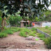 Bán đất 85.6m2 Đội 1, Đông Hạ, xã Đông Yên - Quốc Oai.