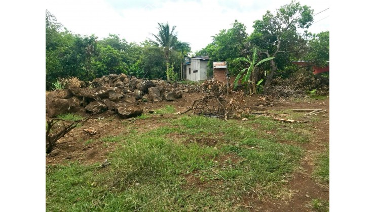 CHÍNH CHỦ BÁN GẤP ĐẤT TRỒNG CÂY LÂU NĂM 1.000M² TẠI ĐỊNH QUÁN, ĐỒNG NAI – GIÁ CHỈ 650 TRIỆU