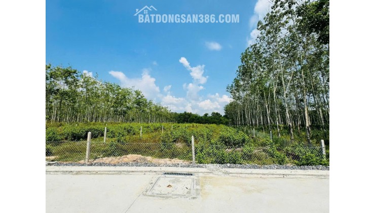 bán đất mặt tiền nguyễn thị vui, diện tích 1600.2m2 có 110m2 thổ cư và 1590,6m2  xã phú mỹ hưng h.củ chi tp.hcm nuy là xã an nhơn tay tp.hcm,