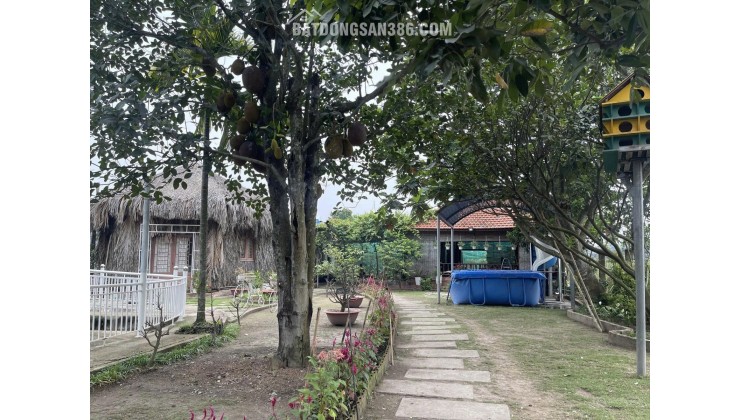 Cần bán gấp nhà vườn đã hoàn thiện Bình Lợi, Bình Chánh.