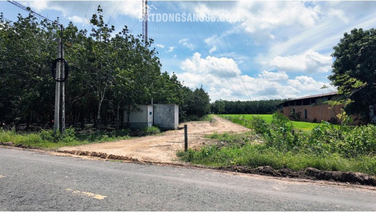 ĐẤT BẾN CẦU TÂY NINH 11.282M2 CHỈ 3TY5, VỊ TRÍ ĐẸP, SỔ TRAO TAY. CHÍNH CHỦ 0988882003.