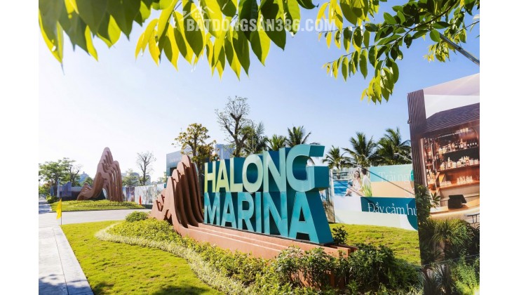 THỨC GIẤC GIỮA KHÔNG GIAN RESORT 5 SAO: CĂN GÓC 2PN PRIMA BAY – TẦM NHÌN PANORAMA ÔM TRỌN VỊNH BIỂN!