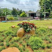 ĐẤT ĐỒNG TRẠNG – ĐOÀI PHƯƠNG: VỊ TRÍ ĐẸP, DƯ ĐỊA TĂNG GIÁ