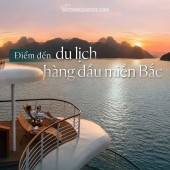 CƠ HỘI ĐẦU TƯ 