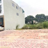 124m2 đất đấu giá Giai Phạm, Mặt đường TL381, Cạnh KCN Phố Nối A, quá đẹp KD dòng tiền và chờ X2