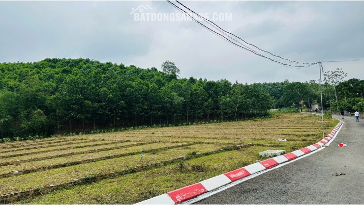 chuyên nhượng lô đất tại lạc thủy giá chỉ hơn 100 triệu 1 lô dt từ 85m đến 105m toàn bộ fun thổ cư