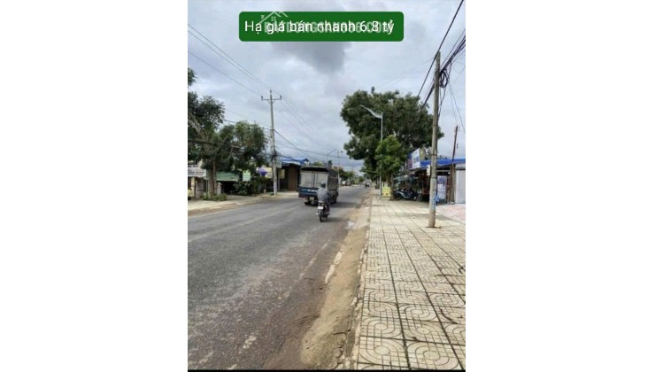 Bán 10x50m đất đường Thống Nhất Đức Trọng Lâm Đồng giá 6,8 tỷ, giá cũ 7.6 tỷ