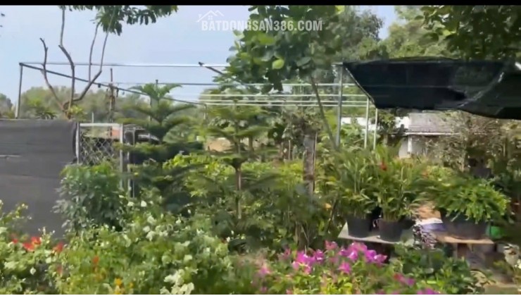 29 TỶ SỞ HỮU ĐẤT MẶT TIỀN VŨNG TÀU GẦN 1000M2 SỐ HỒNG RIÊNG