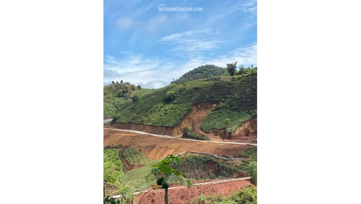  HÀNG HIẾM MỘC CHÂU – QUỸ ĐẤT DIỆN TÍCH LỚN, ĐƯỜNG LIÊN XÃ
