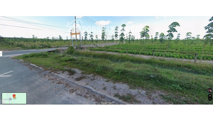  ĐẤT 239,5M² – ĐỊNH HIỆP, DẦU TIẾNG  GIÁ 4,19 TỶ