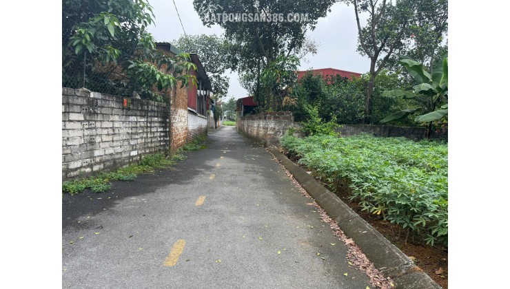 Chỉ 1ty7 -69m đất tại Hoà Lạc - Cách 700m đến Trục Hồ Tây Ba Vì và Metro08