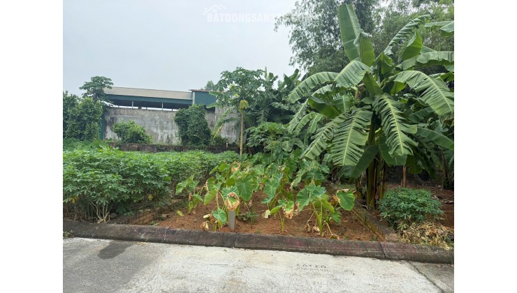 Chỉ 1ty7 -69m đất tại Hoà Lạc - Cách 700m đến Trục Hồ Tây Ba Vì và Metro08