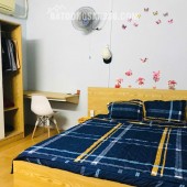 Cho thuê phòng - Duplex - Huỳnh Mẫn Đạt, Bình Thạnh - 4,5tr/tháng