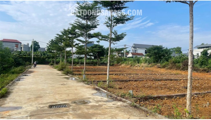 Bán đất làn 2 Phú Cát (Hòa Thạch) 100m2 full thổ, gần đường DH09 giá 2,3 tỷ.