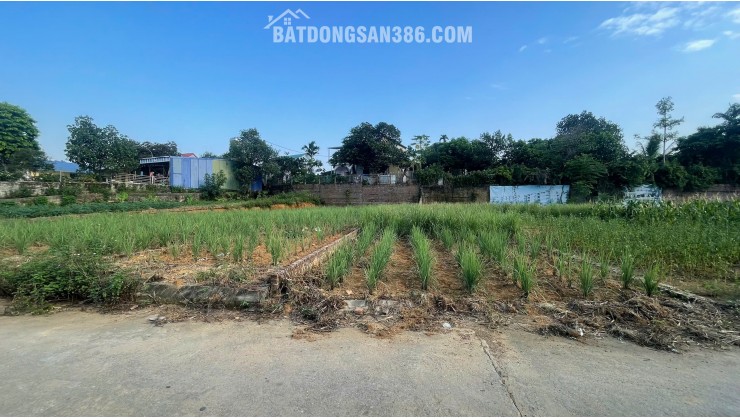 BÁN ĐẤT LÕI TRUNG TÂM PHÚ CÁT – 108,1M² FULL THỔ CƯ – SẴN SỔ